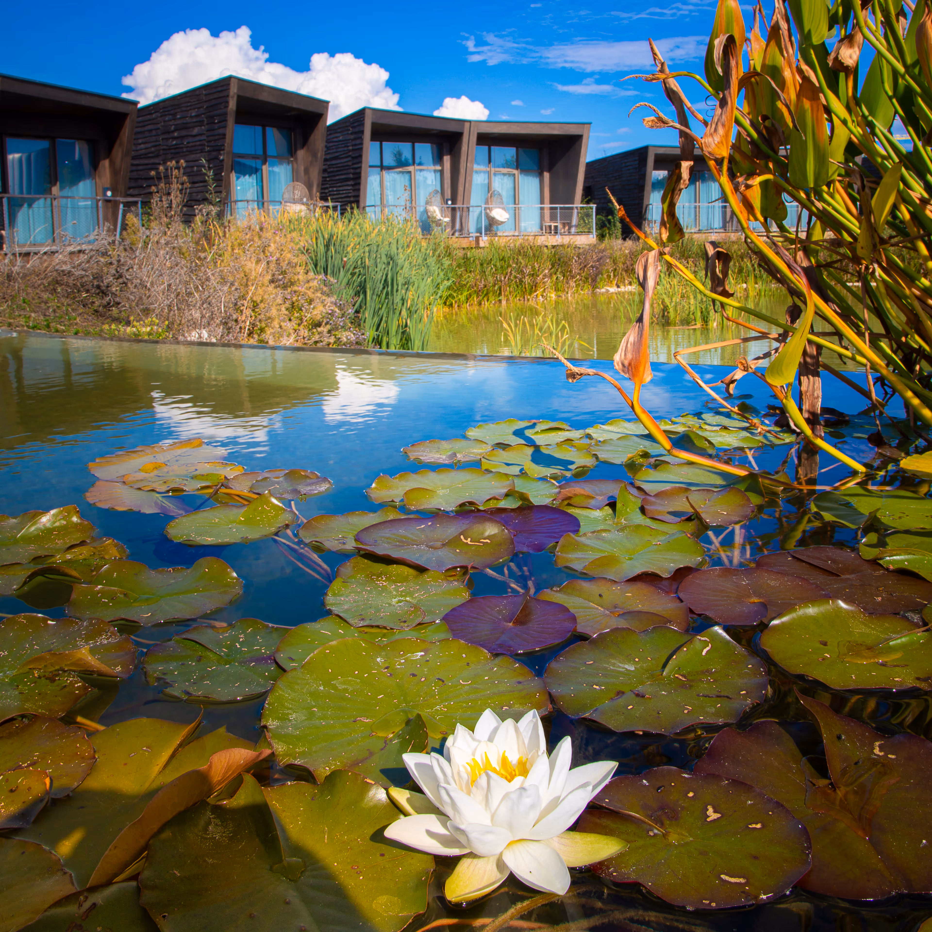 HOTEL ECOLODGEE_MG_2005-2